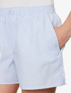 Shay Striped Cotton Shorts -Whistles Shop R04183728 DUSTYBLUWHTSTRIPE ALT04